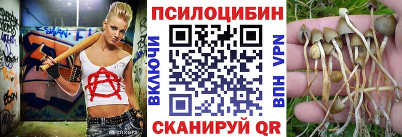 что такое наркотик  Новомосковск  мега   Галлюциногенные грибы Psilocybine cubensis 