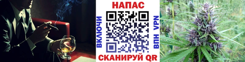 как найти наркотики  Новомосковск  Конопля гибрид 
